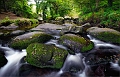 paysage 17_09_11n01